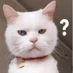 原来，此“duǐ”非彼“怼”