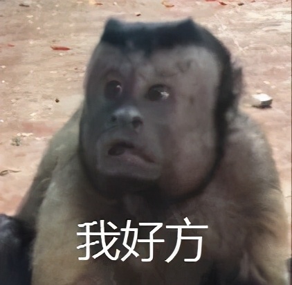 有毒！又一位宝藏小姐姐，玩核桃最爱“马虎”，朋友眼里是奇葩