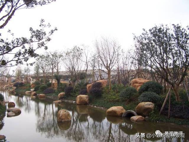 住宅小区植物配置方案,植物种植小技巧一览表图