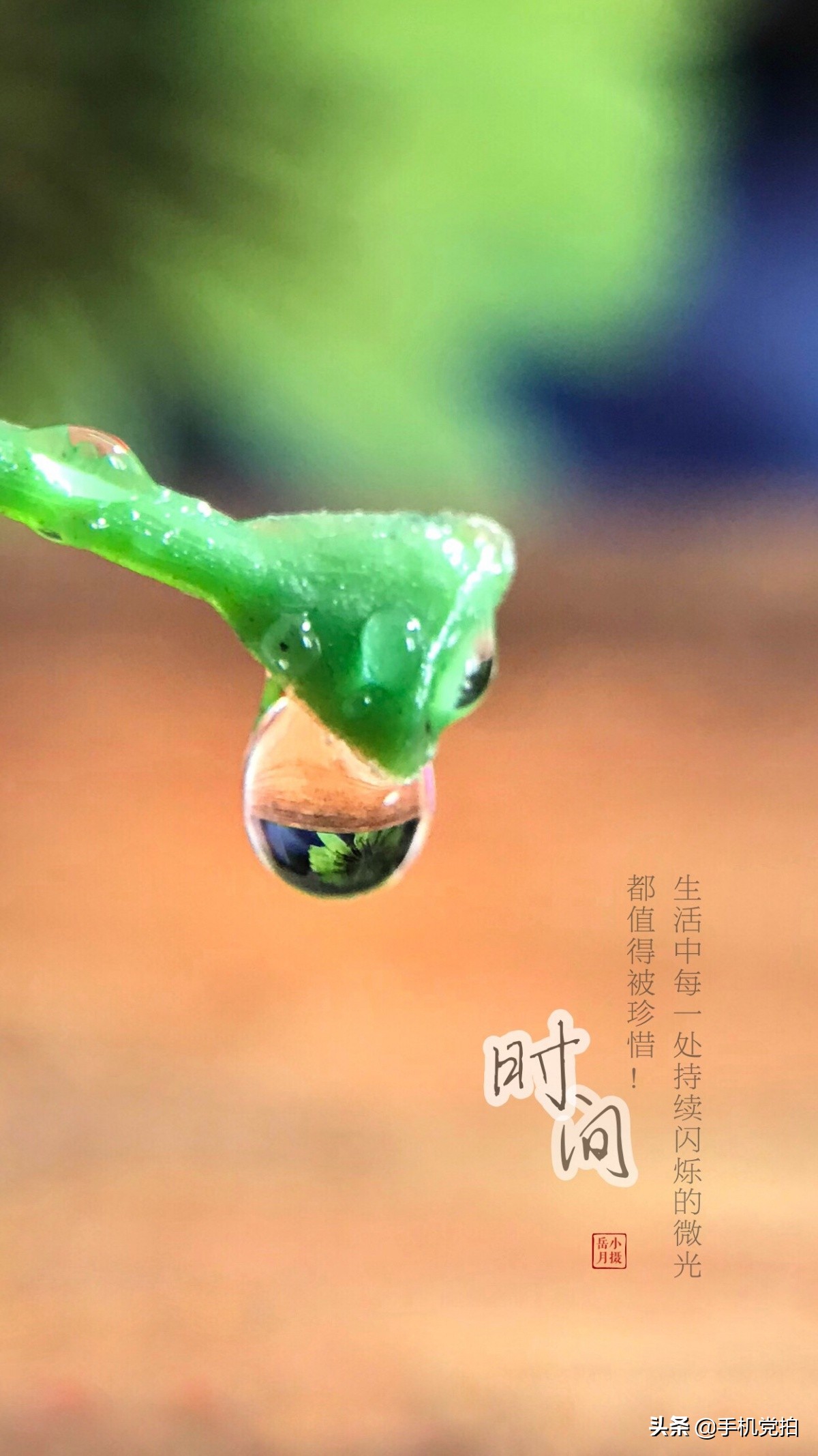 教你宅家拍氛围感大片有手就行,宅家就能轻松拍大片