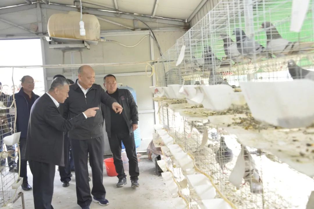 安徽乡村振兴重点帮扶县,乡村振兴省重点帮扶村