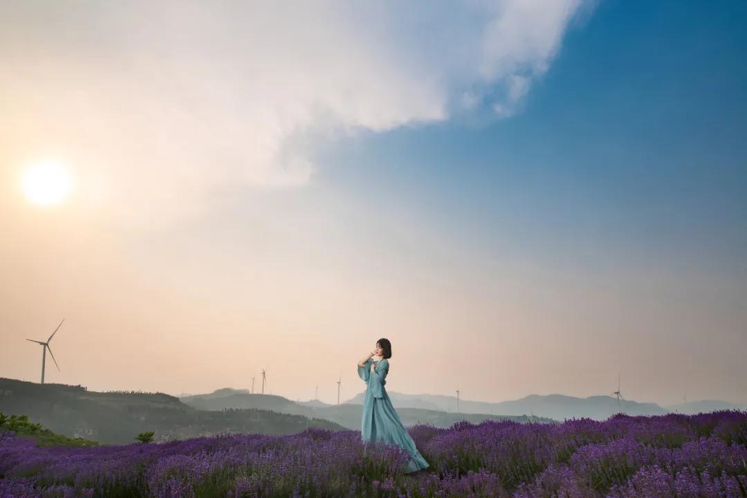 村上春树最经典的语录是什么,村上春树最扎心的5句话