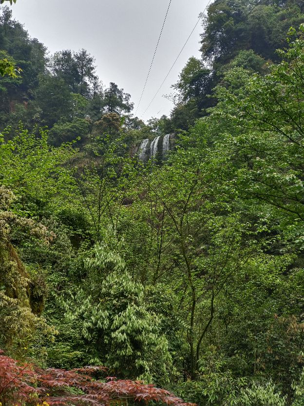 大型氧吧机,森林公园吸氧