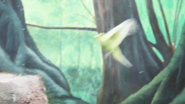 占地30000㎡！这艘建在安华汇天台上的巨船，竟是亲子乐园