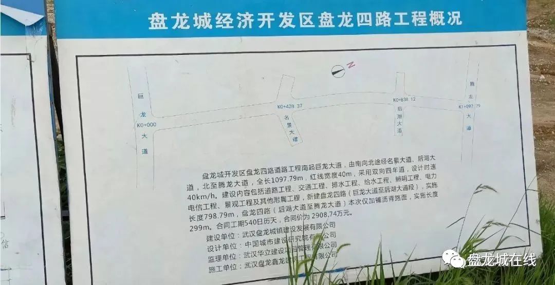 盘龙城近期道路有什么规划,盘龙城跨府河通道规划