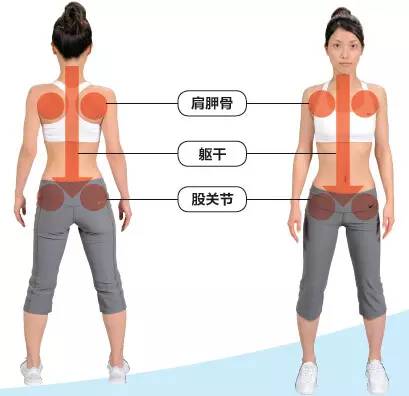 初学者如何进行拉伸,手把手拉伸