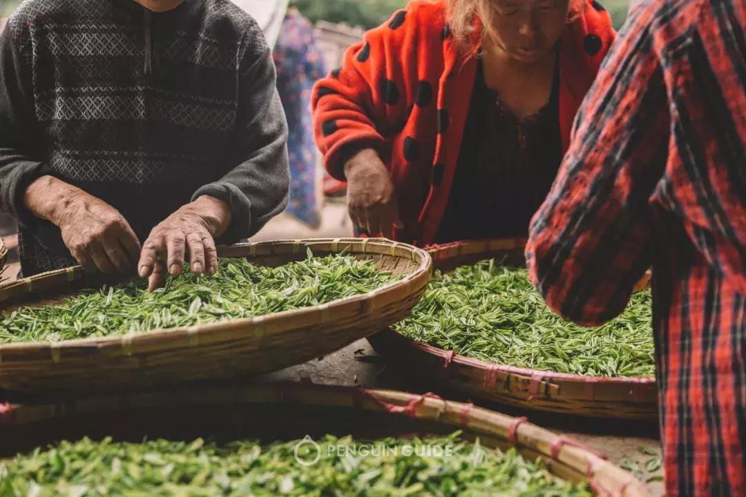 湖州:一座太湖南边的宝藏小城,春笋湖鲜河鱼,嘴巴好忙