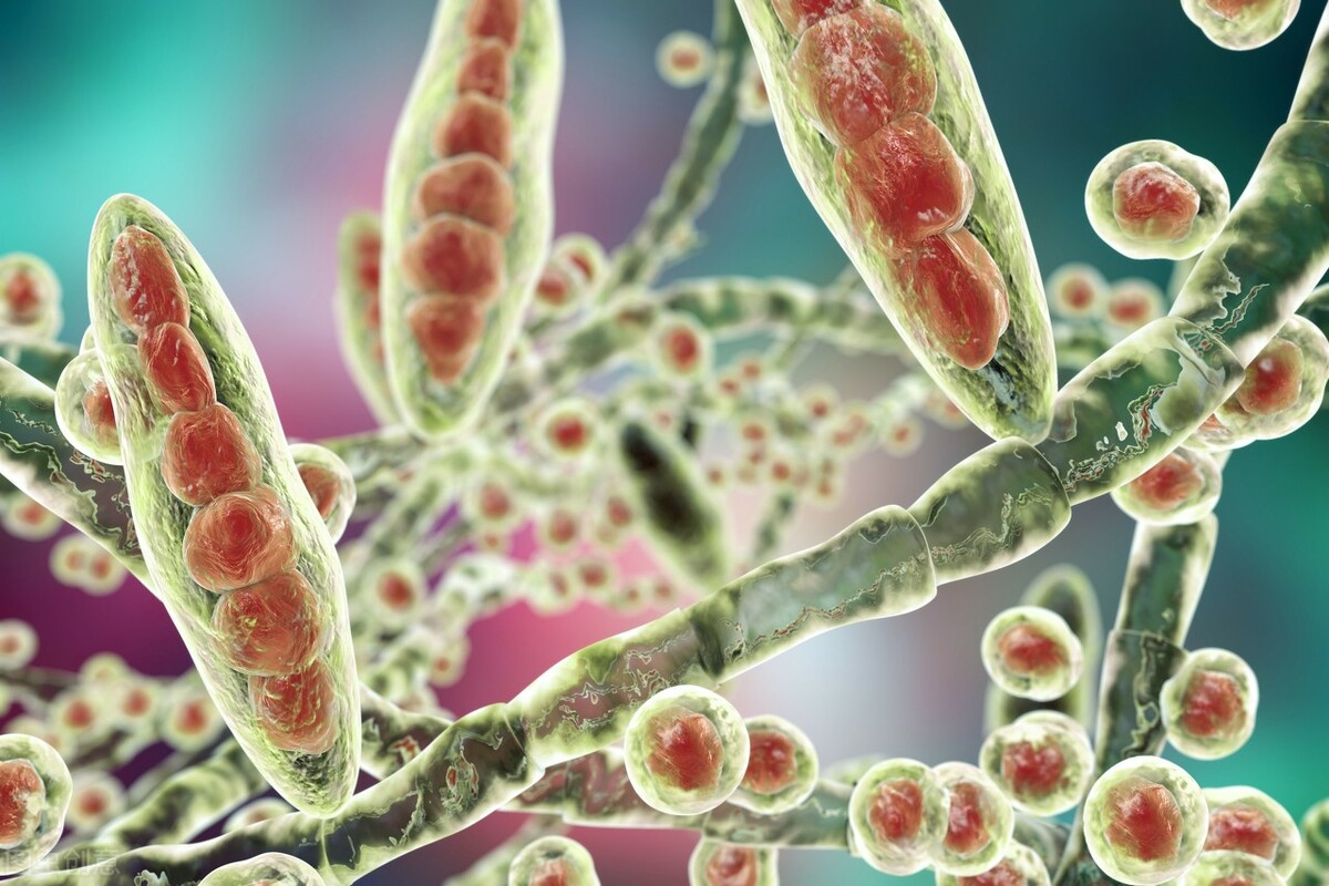 霉菌吸入肺部的危害,霉菌不小心吸到肺里了咋办