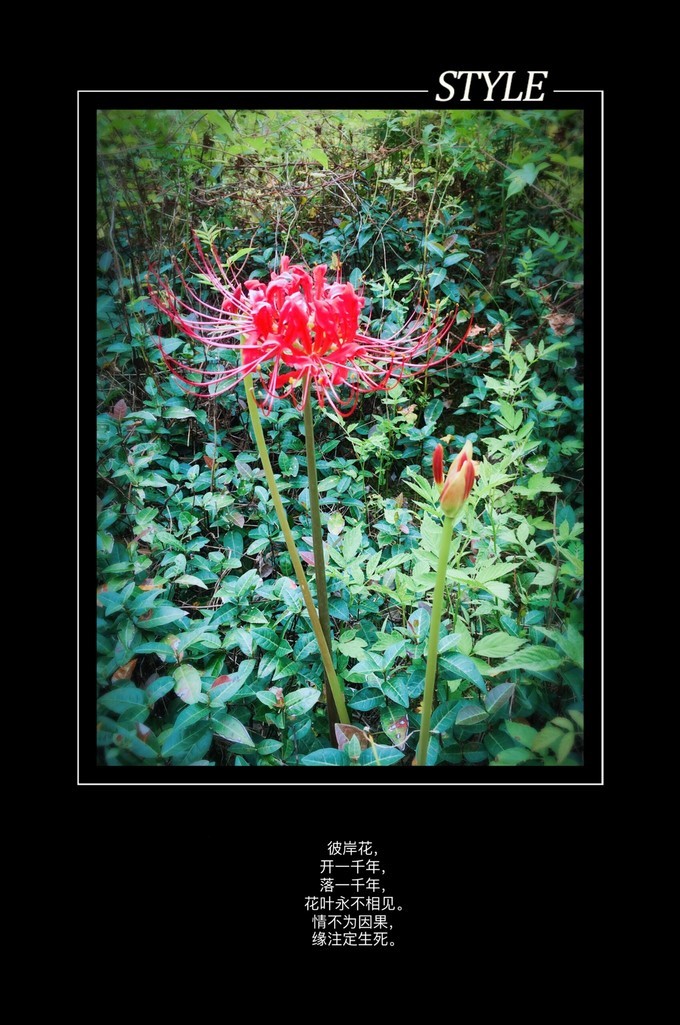 从化溪头自驾游视频,从化溪头村一日游路线