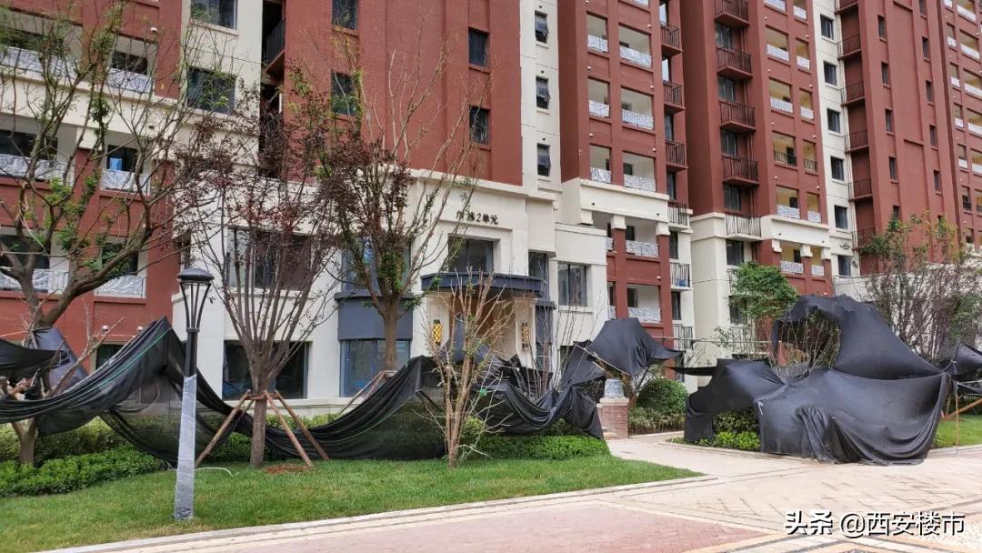 南湖艺境一期,南湖艺境大事