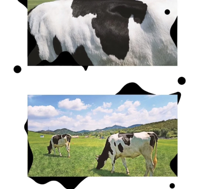 三寰牧场露营记,幼儿园游玩攻略三寰牧场