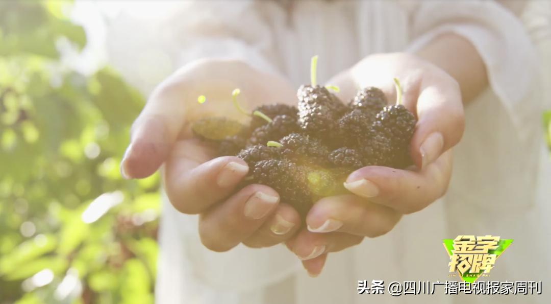 金字招牌|走，到德昌吃桑per！把嘴巴吃来亲妈都认不到的乌