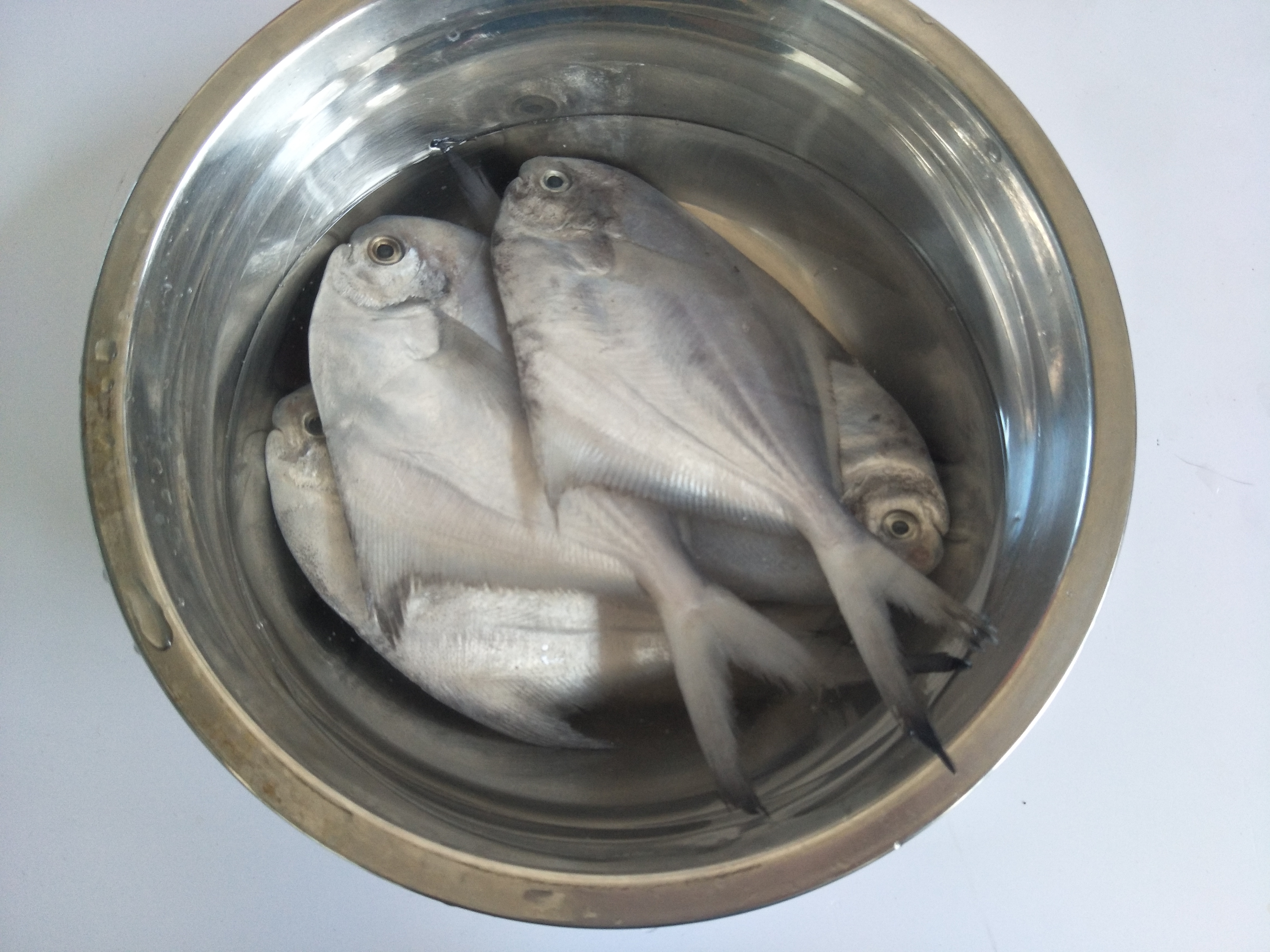 家常菜100道开胃下饭炖鱼,炖鱼美食做法家常菜100道开胃下饭