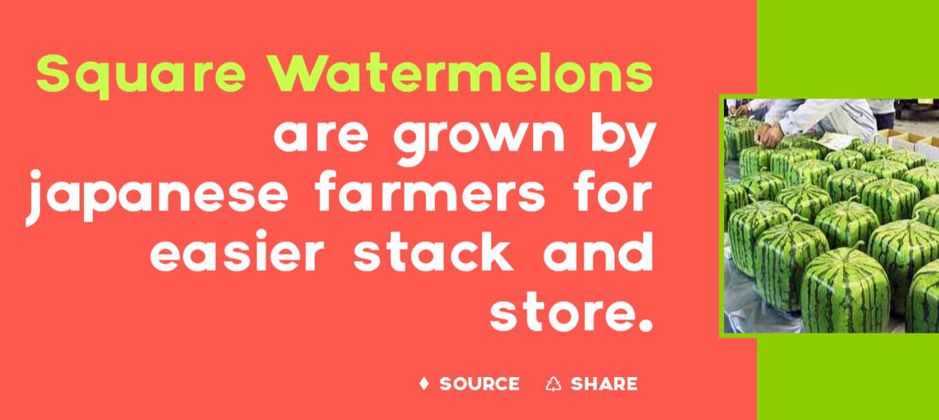 日本人都不曾在意的细节，11处日本的特有现象