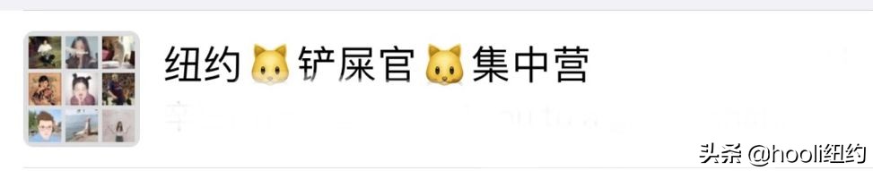 纽约最全群信息总揽|指南在手,世界我有