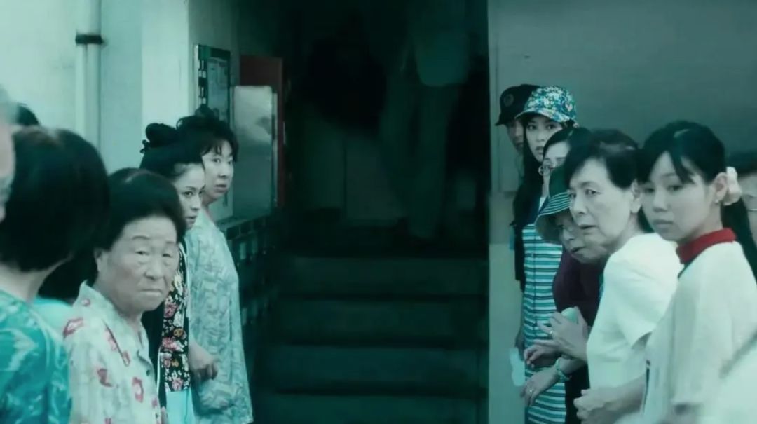 霹雳贝贝入住科学研究所,霹雳贝贝清华