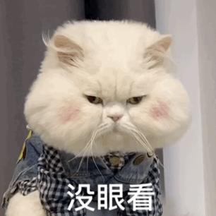 拍照就面瘫系列,拍照到底怎么表情管理呀