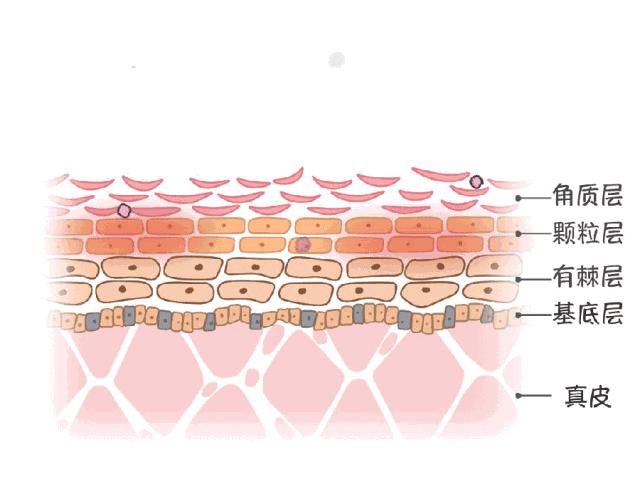 皲裂红脸蛋,宝宝皮肤皲裂擦面霜泛红
