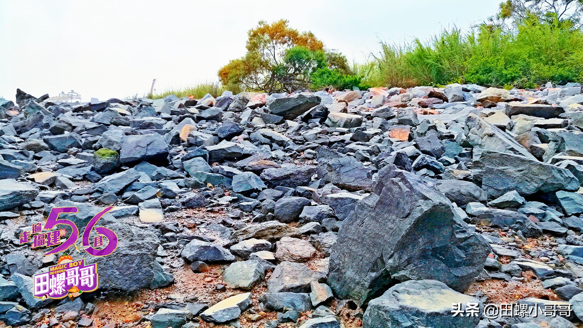 海岸线最短的沿海省,我国海岸线最浅的地方