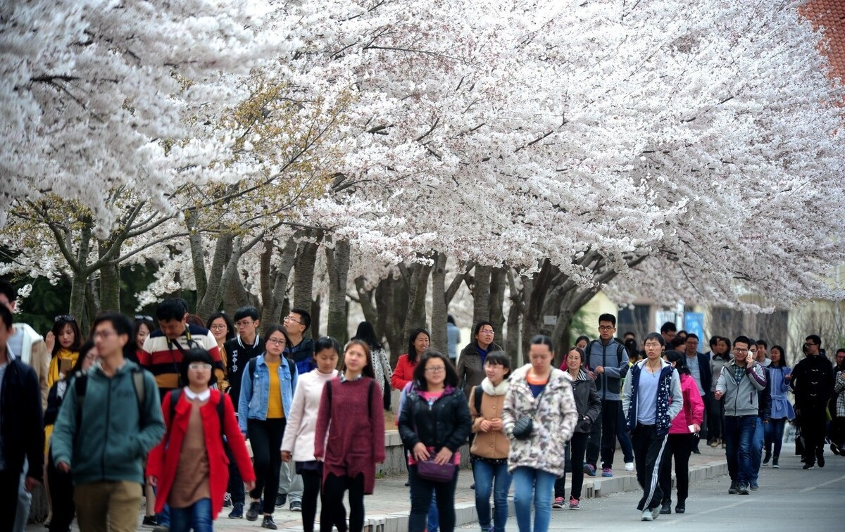 山东省属重点大学有哪些,山东不错的4所专科院校