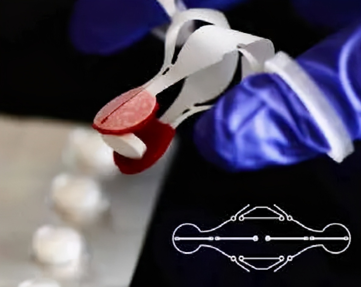 中国科学家研究纳米机器人,中国科学家团队发明的机器人