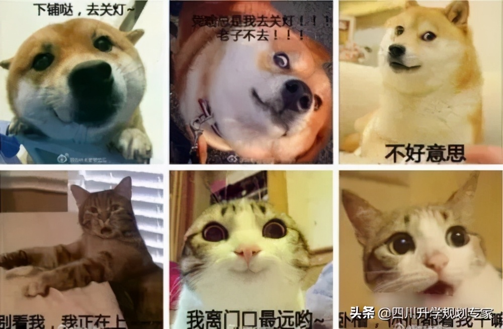 无法与舍友共处怎么办,跟舍友合不来该怎么办感觉被孤立