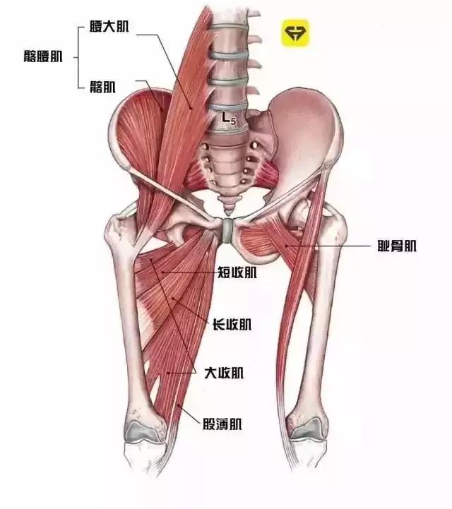 穿牛仔裤让肥胖纹更明显了,肥胖纹磨大腿