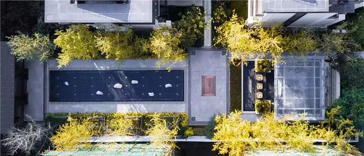 居住区植物景观设计原则,景观设计干货