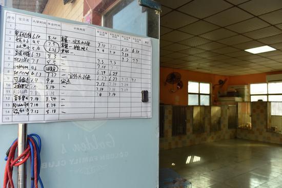 专门培训狗狗,狗狗训练中心培训基地训狗