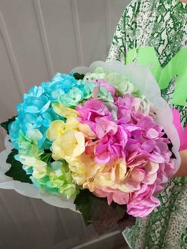 水培绣球寿命,水培绣球花多长时间能生根