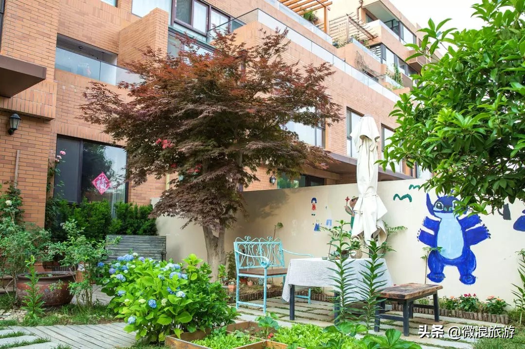 白鹭湾的“选美大赛”，谁是你心中最美的“姑娘”