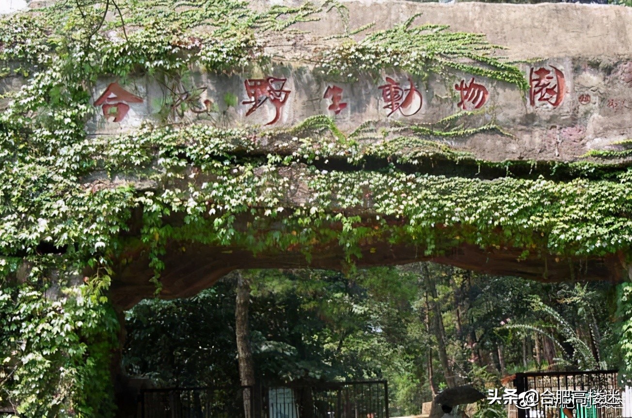 合肥五一旅游指南,五一合肥免费旅游景点