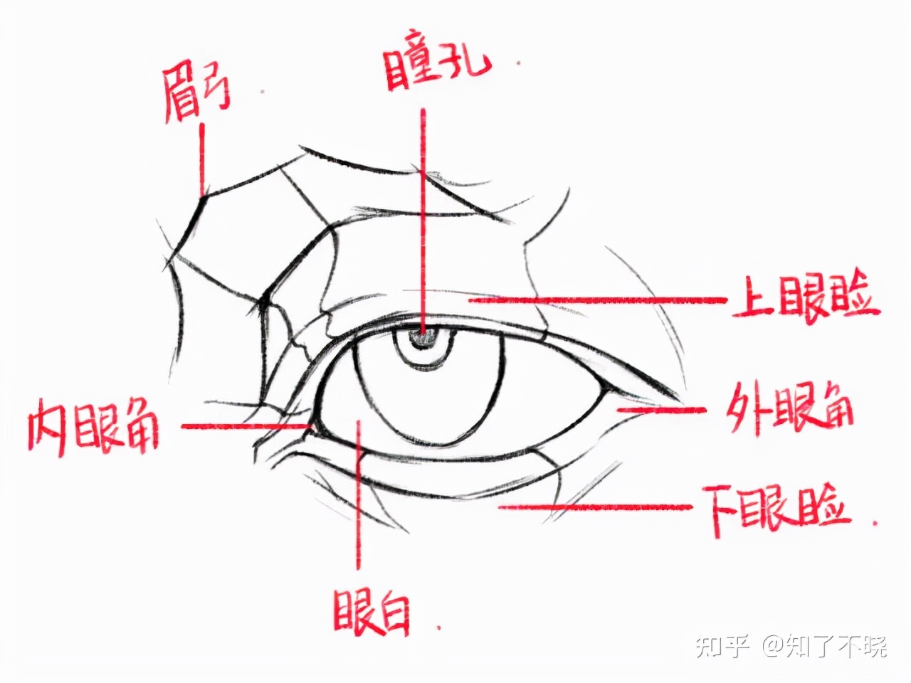 单眼皮大眼的画法教程,水灵灵大眼睛的画法你学会了吗