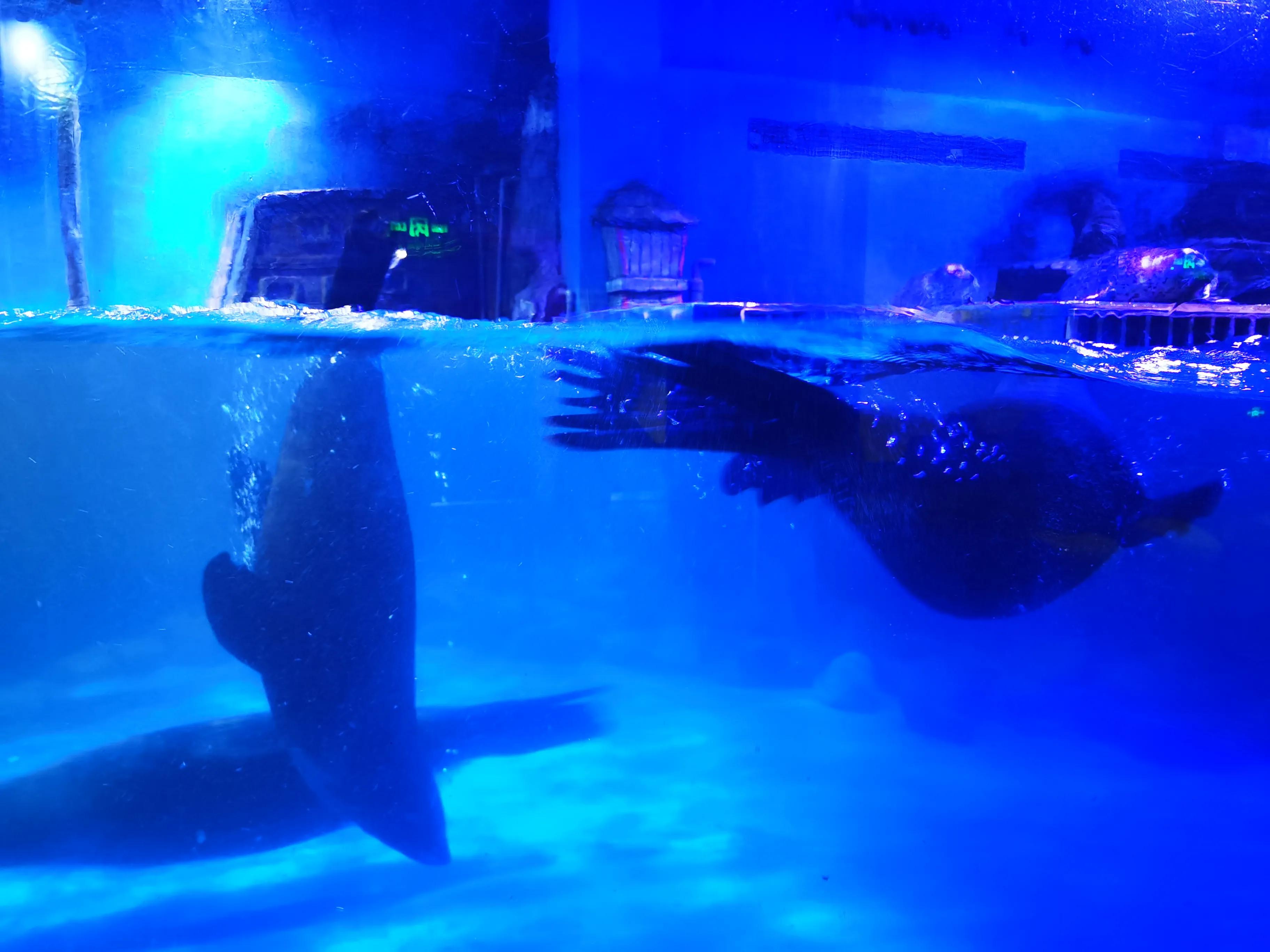 在长江大学读书是一种什么样的体验