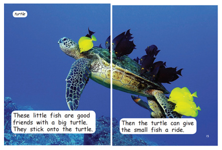 红火箭分级阅读科普,红火箭分级阅读有视频吗