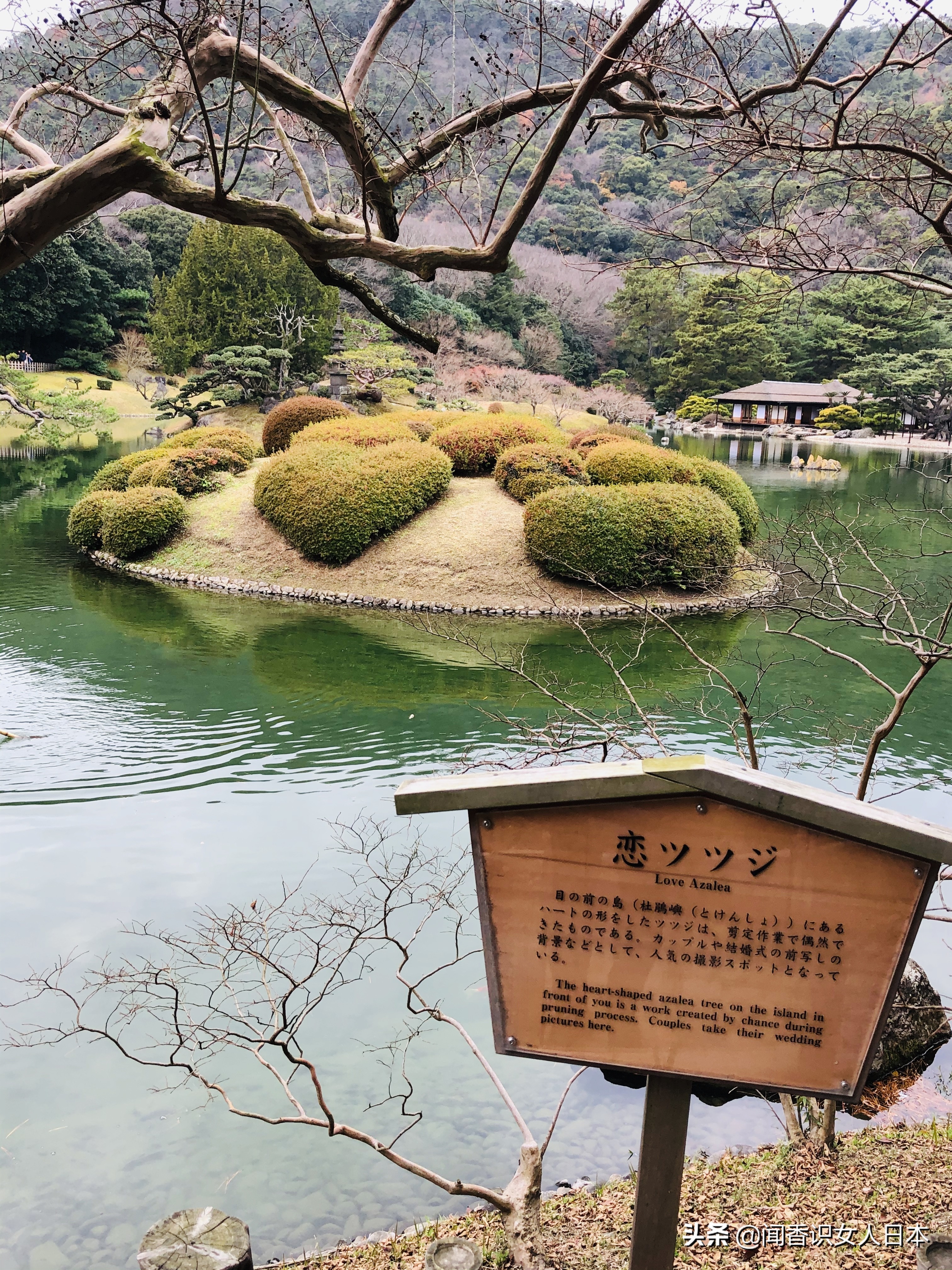 日本的米其林三星餐厅,日本米其林三星参观