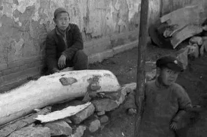 老干妈失败教训,老干妈2022年亏损多少