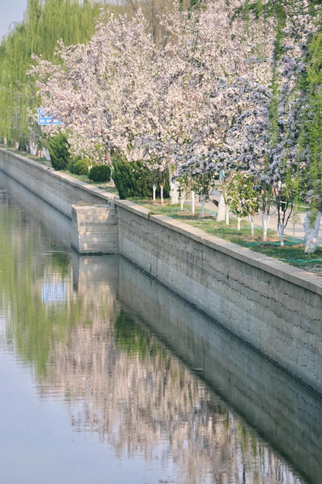 北京人少景美赏秋的公园,北京赏秋中山公园