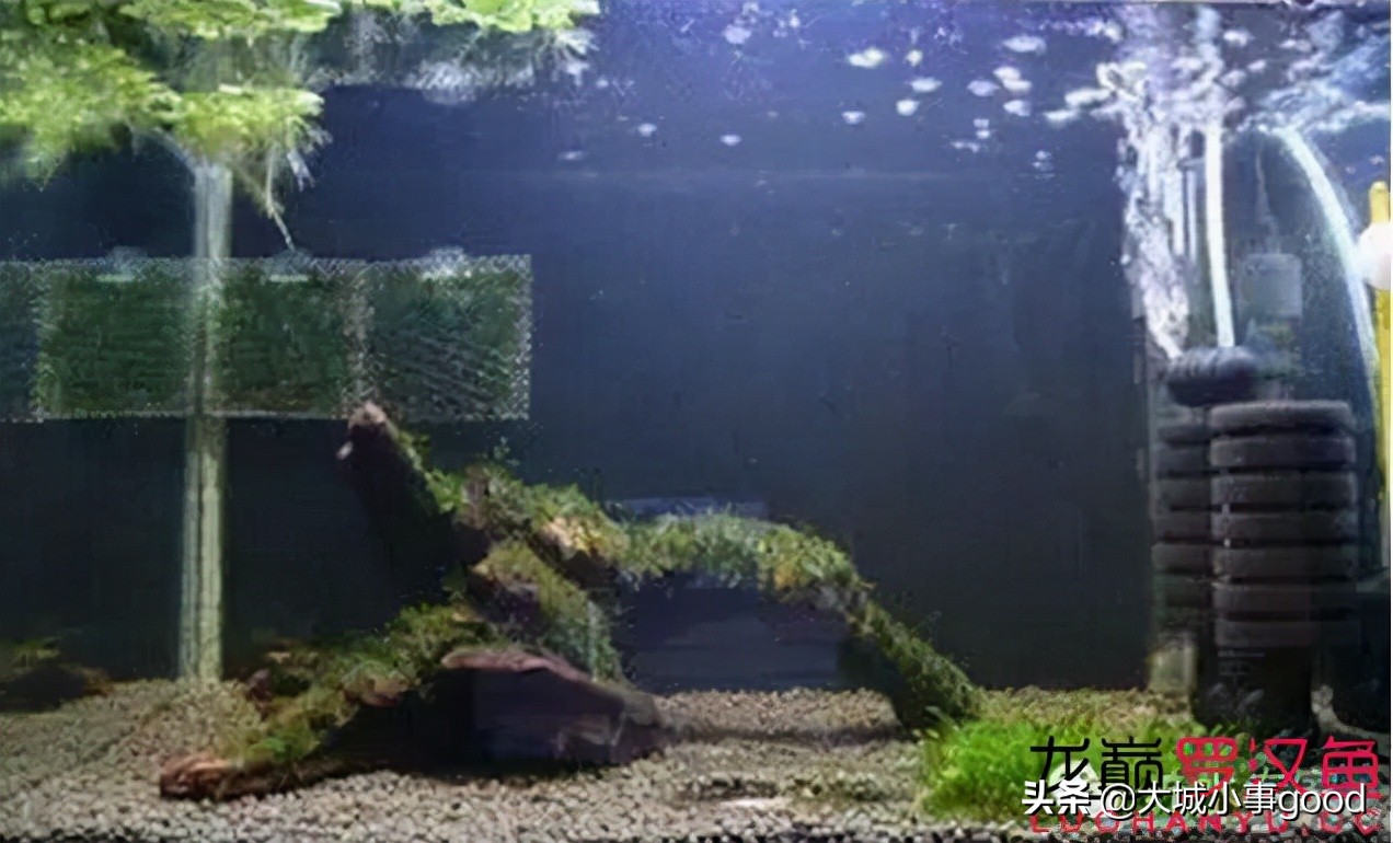 过滤棉讲解,物理过滤滤棉选择