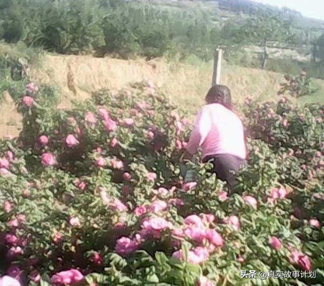 没文化创业的故事真实,有文化没有文凭的真实故事