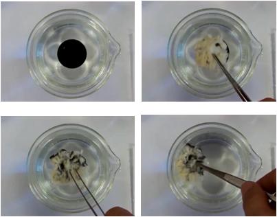 为了替你出气，我们给讨厌的杨柳絮来个“以暴制暴”