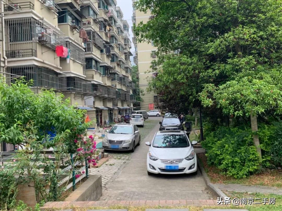 周边小区房价暴涨,垃圾遍地的小区