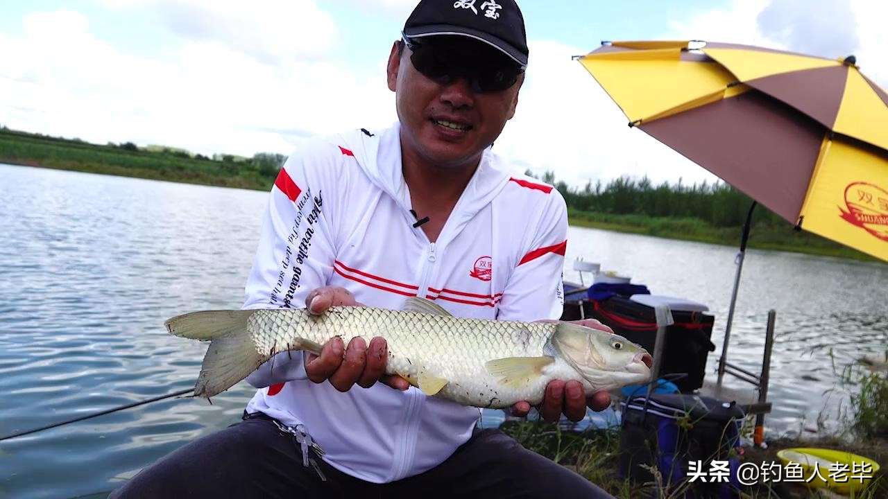 春节什么风好钓鱼,北风转南风适合钓鱼吗