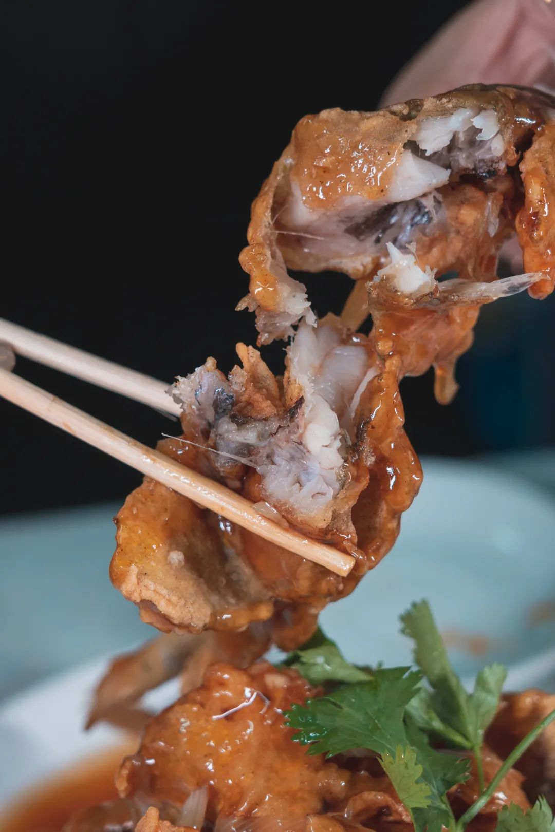 大连寻味,寻味大连大连美食探店