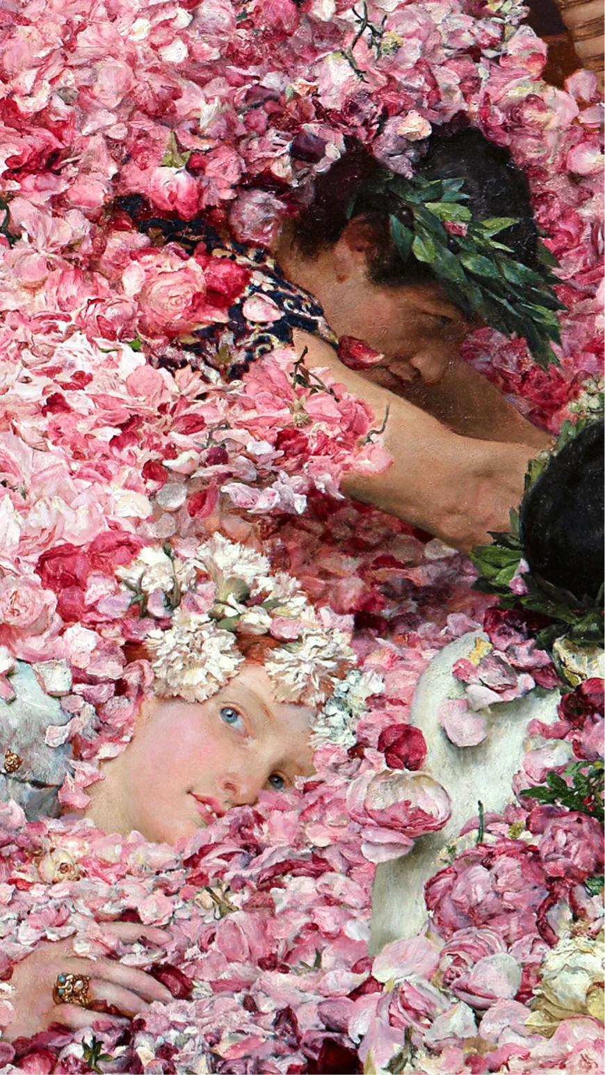 玫瑰花瓣一片一片飘落在眼前,玫瑰花瓣一片片凋落在眼前