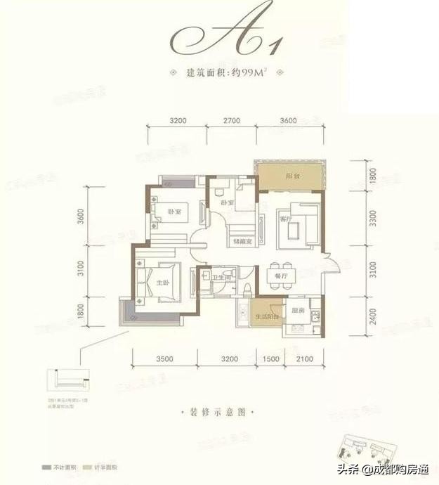 种了20年的铁树终于开花了,养了几十年的铁树终于开花了
