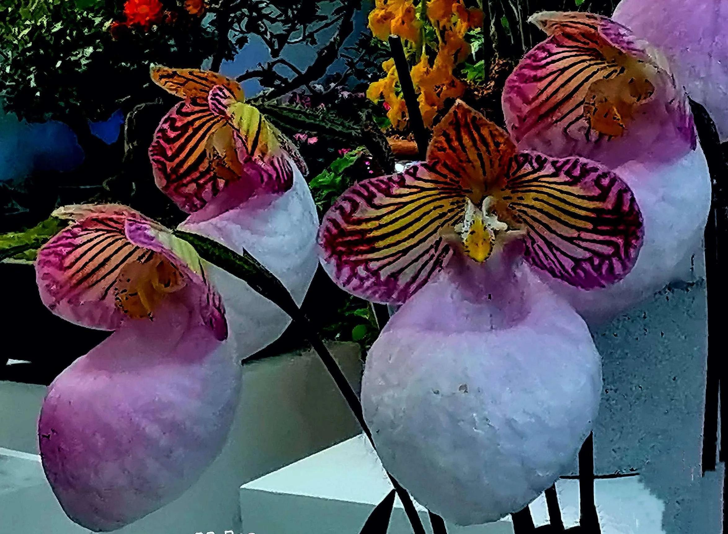 兰花高洁的古诗,高洁典雅的兰花壁纸