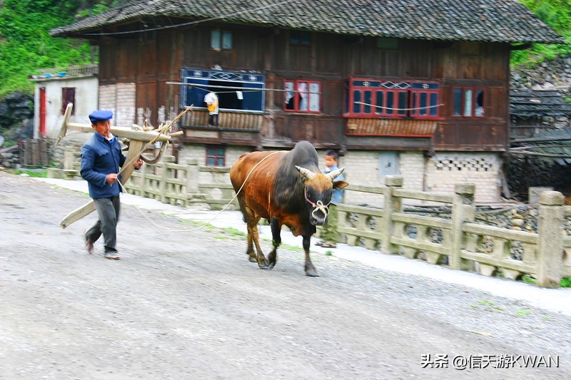 余秋雨关于西江千户苗寨的名句,西江千户苗寨以美丽回答一切