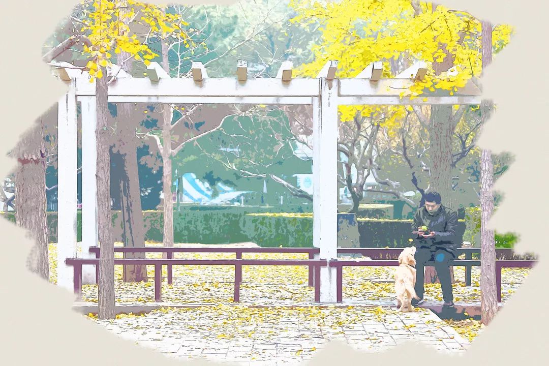 望京房价领涨北京10年,03年北京望京房价