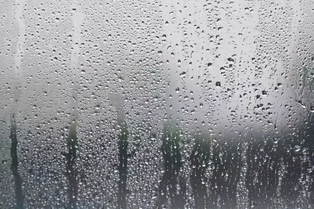 春天祛湿茶配方大全,春天健脾祛湿汤